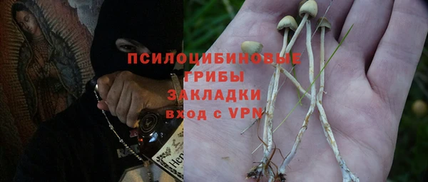 кокаин Белокуриха