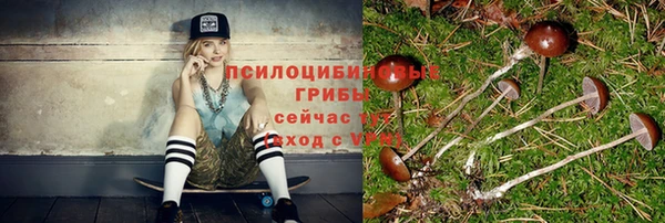 кокаин Белокуриха